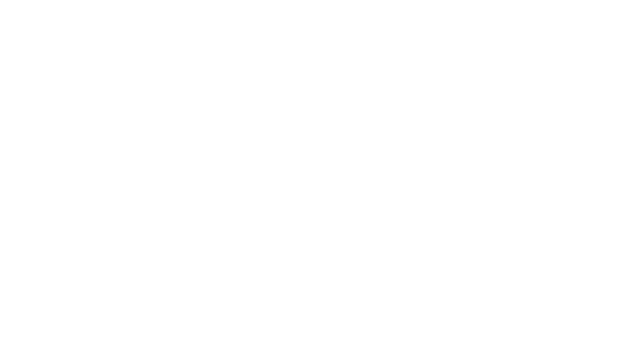Endo